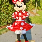 Minnie Mouse Mascot 2